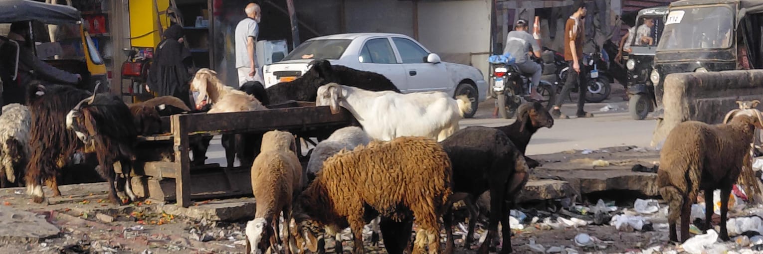 WhatsApp Image 2026-04-30 at 11.56.43 AM (2)